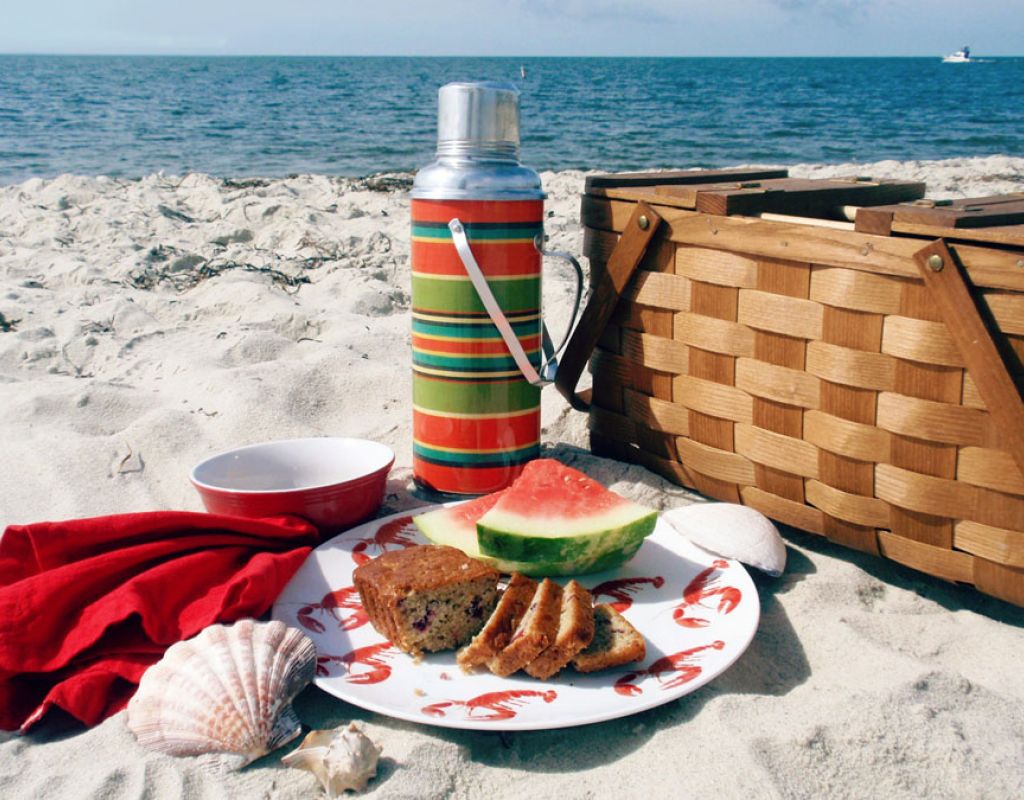 Пикник снять. Пикник на пляже. Пикник на берегу. Пикник на берегу моря. Пикник на море фотосессия.
