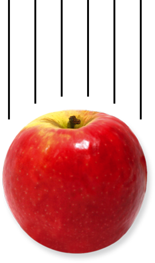 Pourquoi Les Pommes Tombent Kidi Science