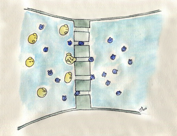 filtre-eau