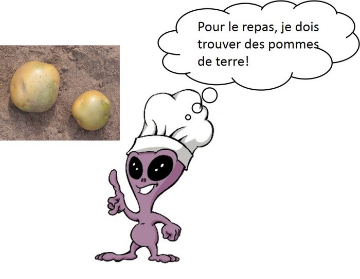 Les Petites Patates Dessin Animé En Francais Vous aimez les patates ? | Kidi'science